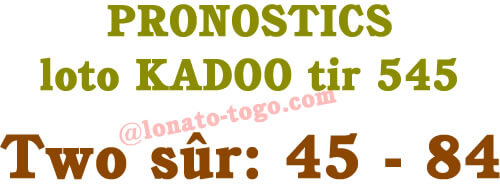 Pronostics loto Kadoo tirage 545