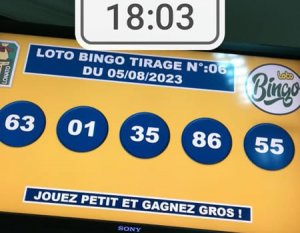 Résultats Du Loto Bingo Tirage N° 06 – LOTTO Ou LOTO TOGO: DIAMANT ...